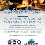 Café & Prosa : Como Escolher o Melhor Capim para sua Fazenda
